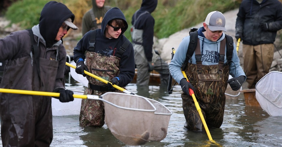 Kearney Canal project gives UNK students real-world training in fisheries biology